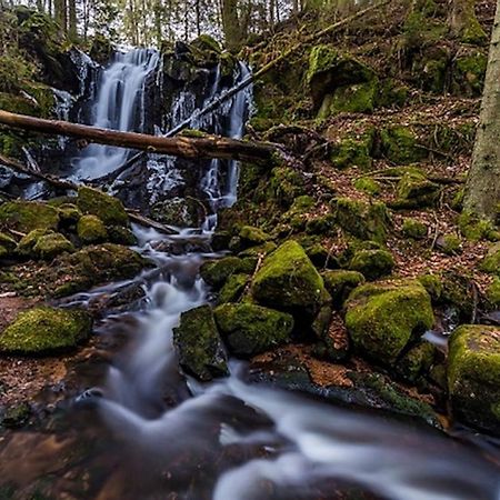 A La Chapelle Titisee Dış mekan fotoğraf